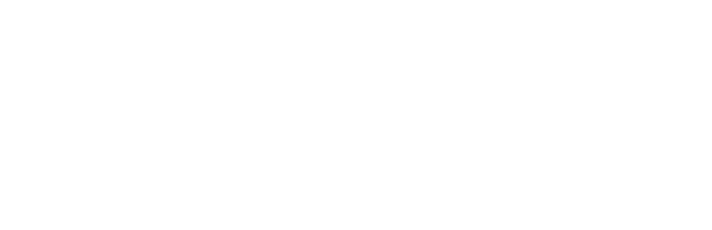 RSX Wordmark